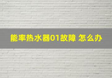 能率热水器01故障 怎么办